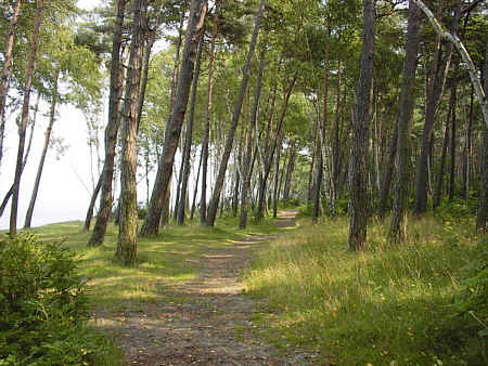 Neukuhren