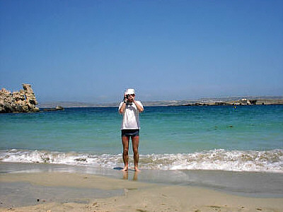 Paradise Bay