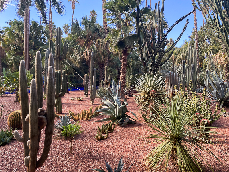 Majorelle Gärten Marrakesch