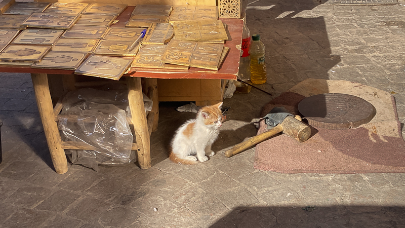 Medina Marrakesch