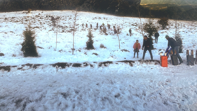 Ifrane