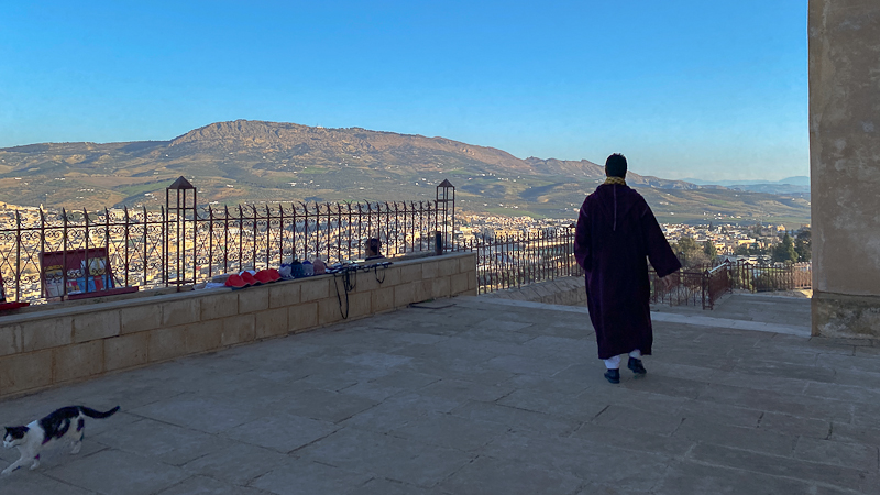 Panoramablick von der Burg auf Fès