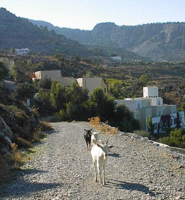 Rhodos