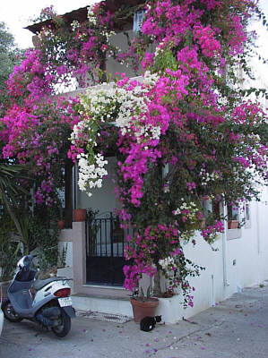 Rhodos