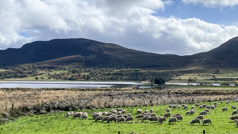 Schottland