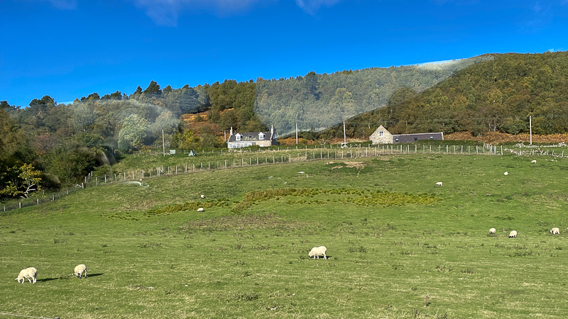 Footdee