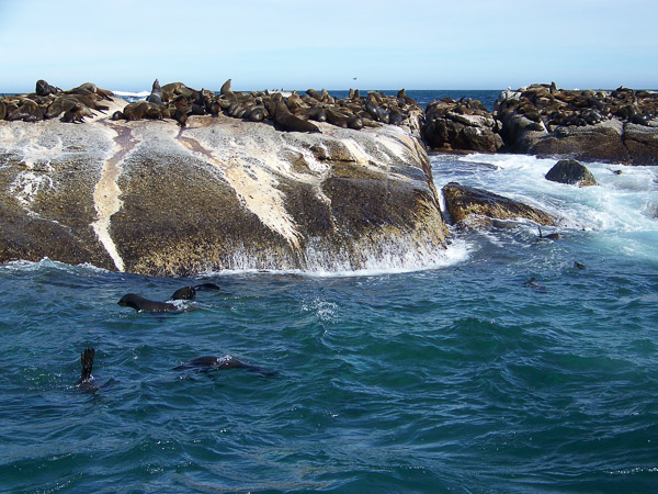 Hout Bay