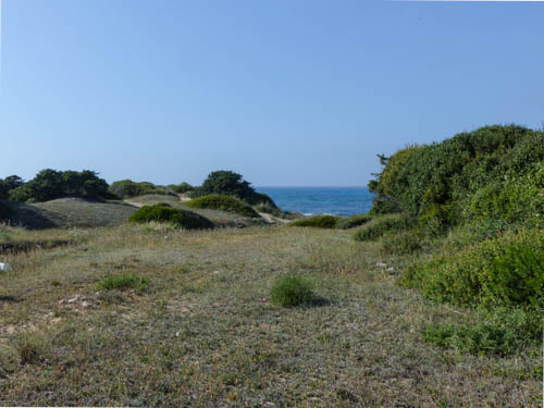 Naturschutzgebiet