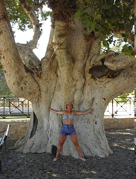 Pharaofeigenbaum